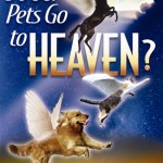 Do Our Pets Go to Heaven