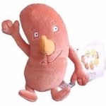 Kidney stuffed