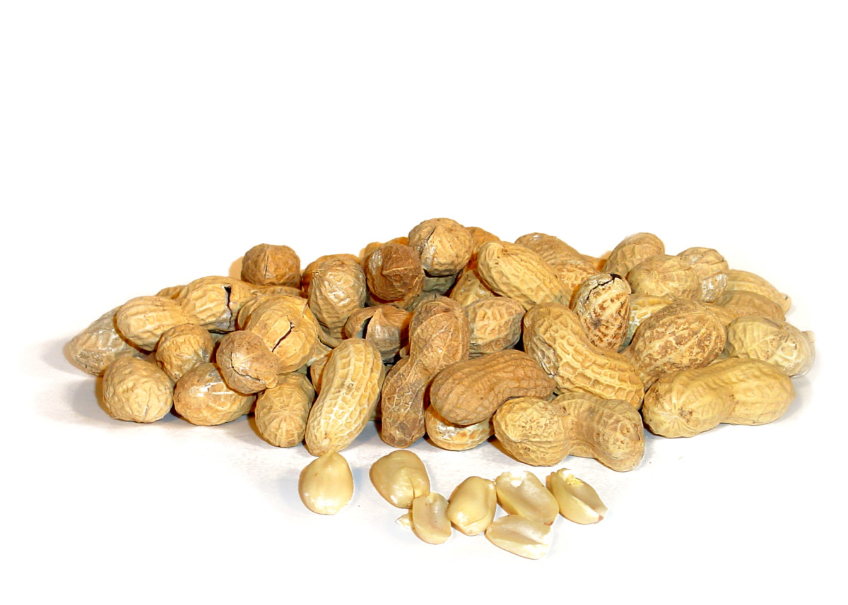 If You Have a Peanut Allergy… Those Days May Soon Be Over