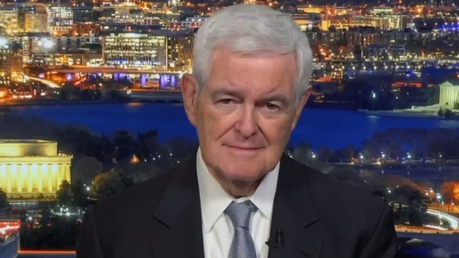 Newt Gingrich’s Shocking Senate Prediction